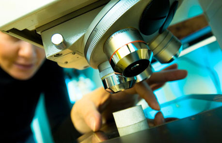  Trafileria Mauri a Wire 2012